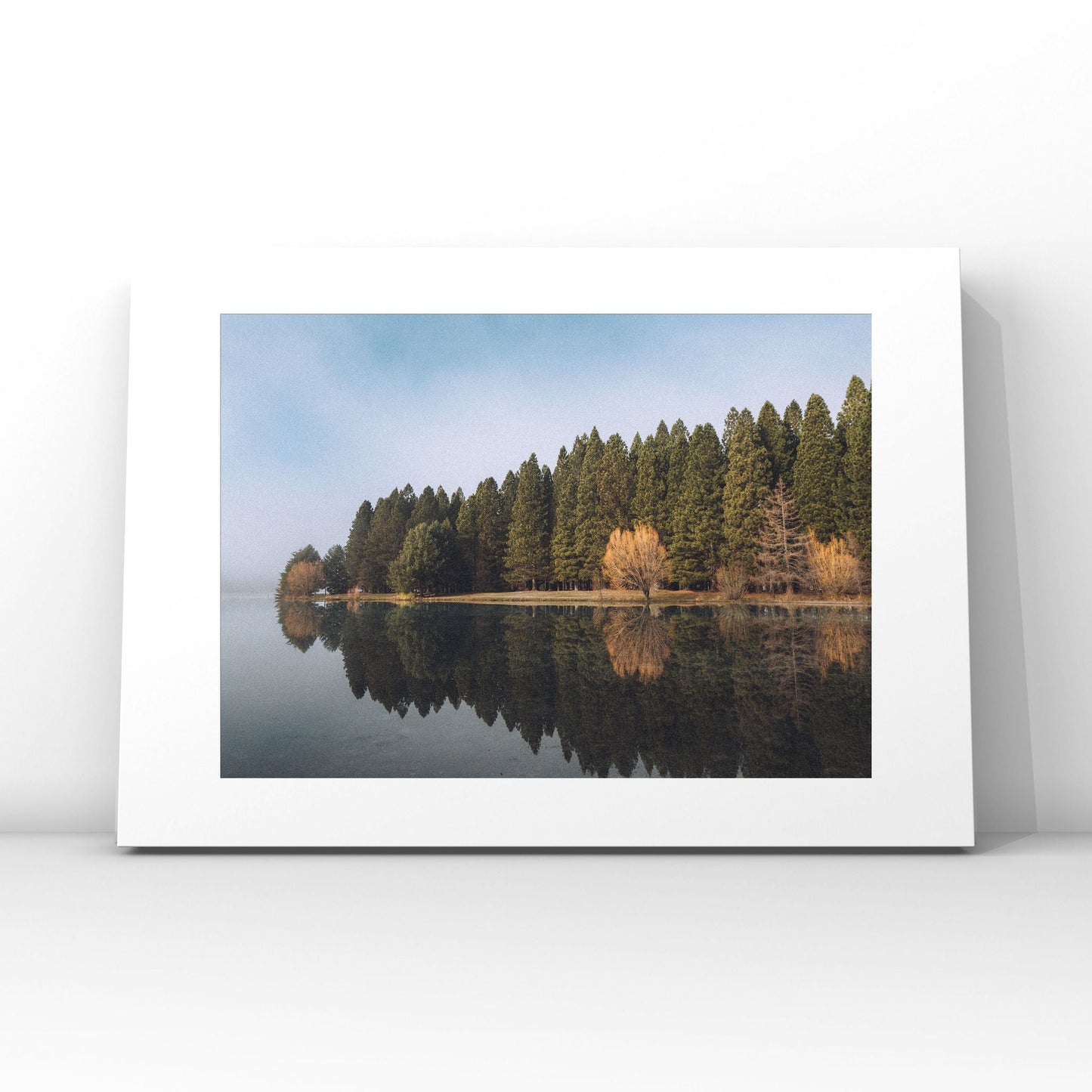 Still Waters Silent Trees Twizel My Store