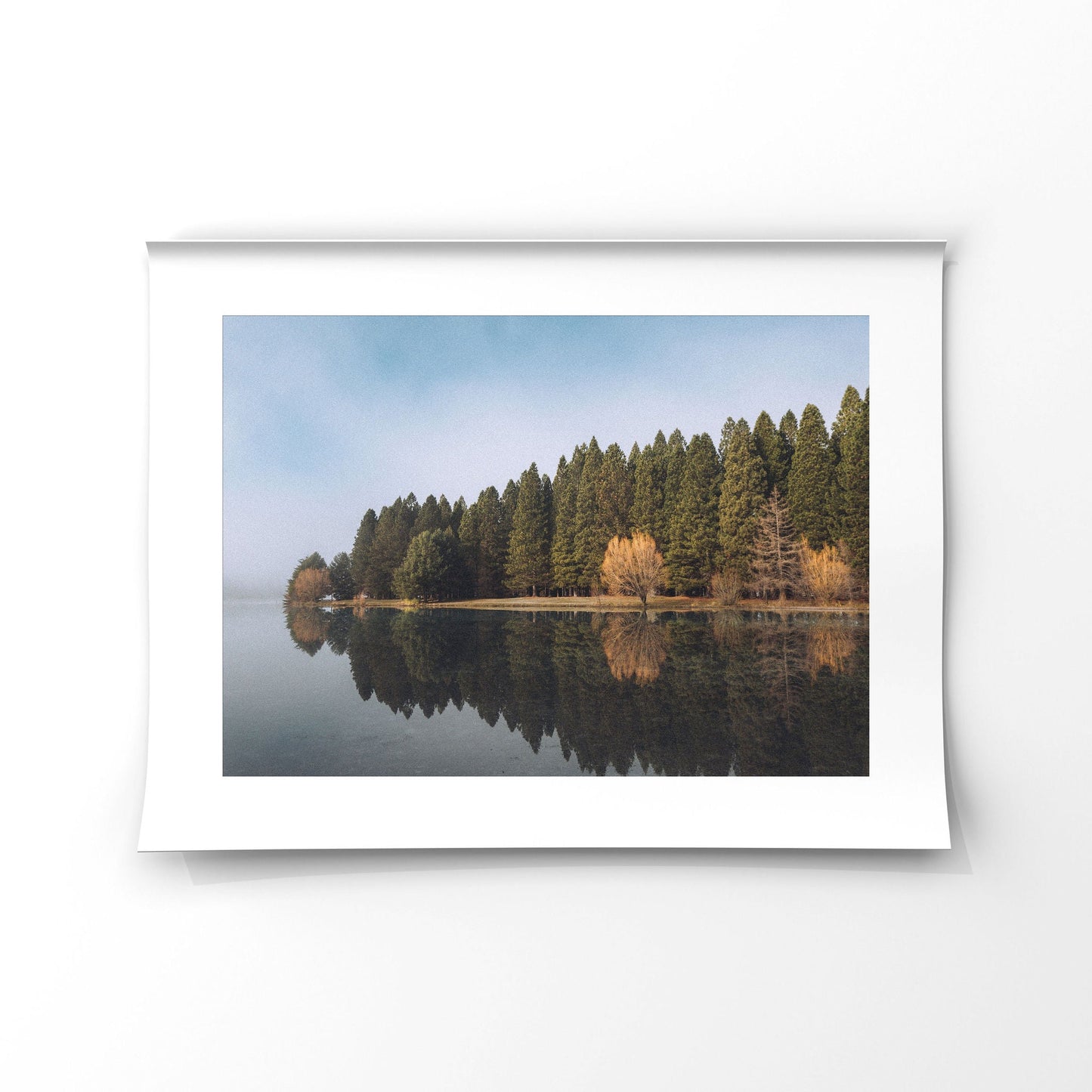 Still Waters Silent Trees Twizel My Store